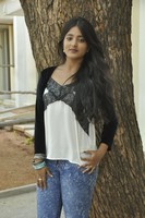 Ulka Gupta Gallery
